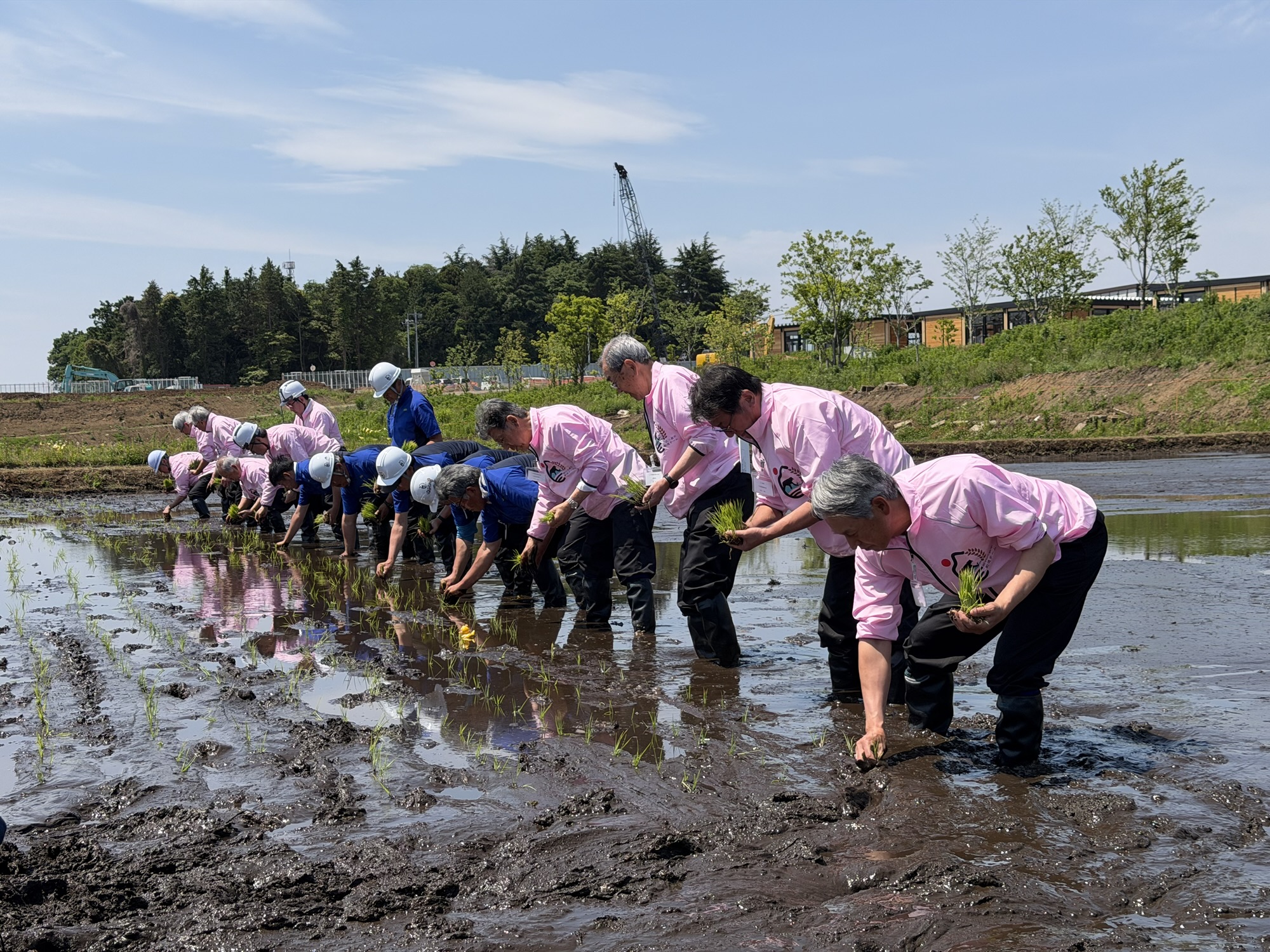 GREEN×EXPO 2027会場内「相沢川」エリアで試験栽培スタート！水田